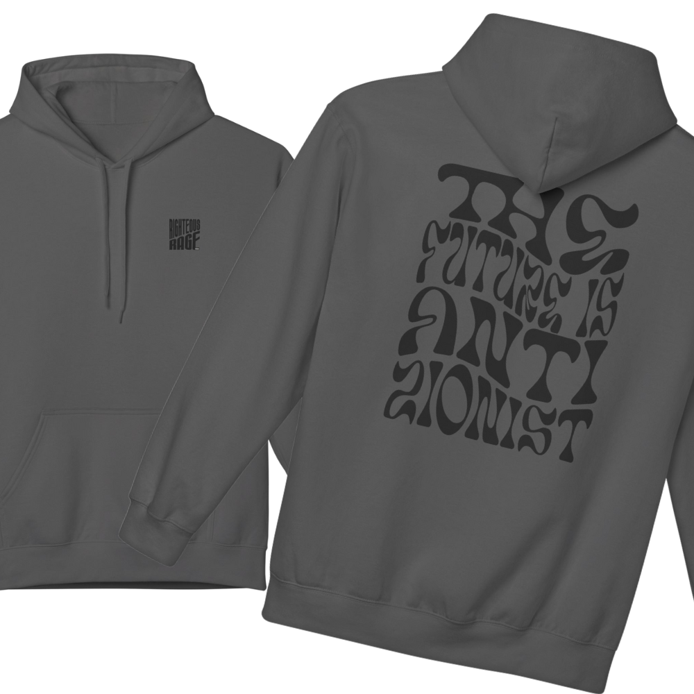 The Future is Anti-Zionist Hoodie