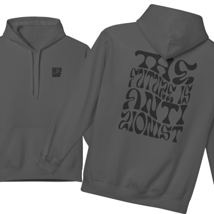 The Future is Anti-Zionist Hoodie