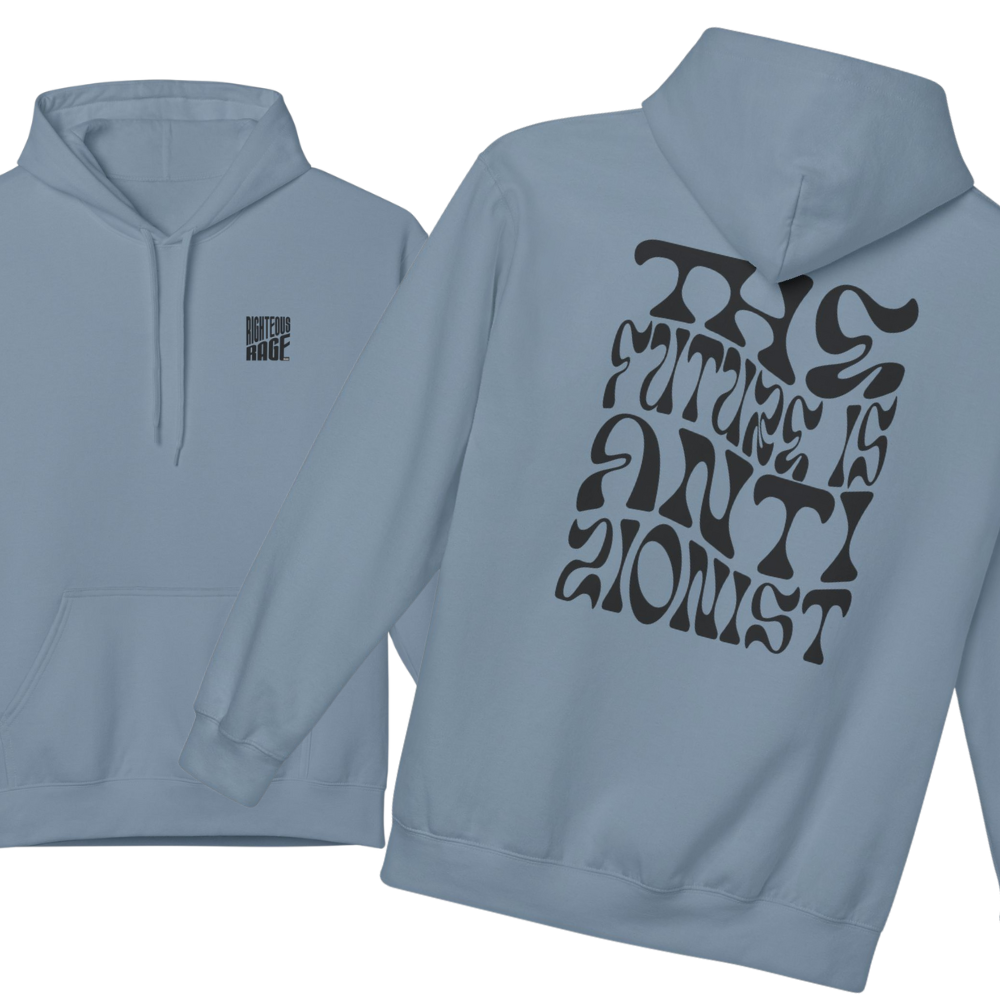 The Future is Anti-Zionist Hoodie