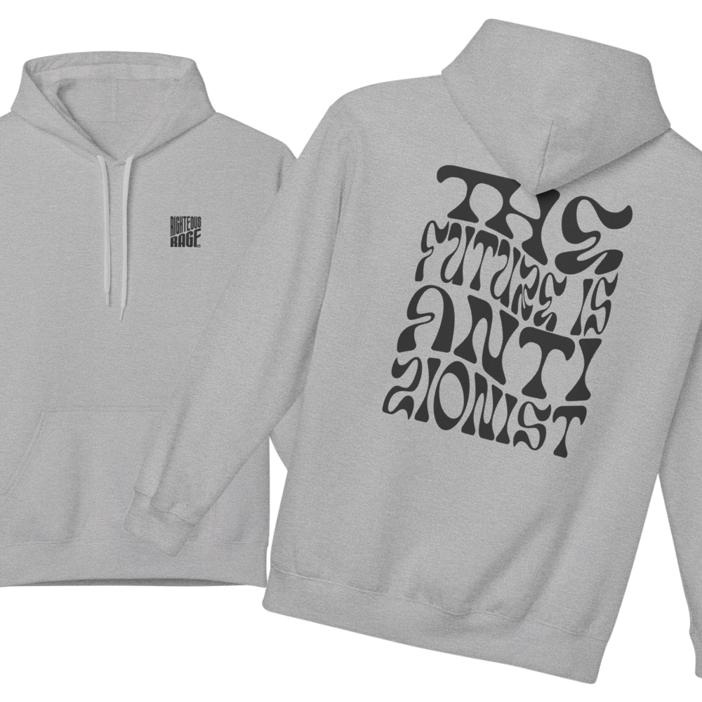 The Future is Anti-Zionist Hoodie
