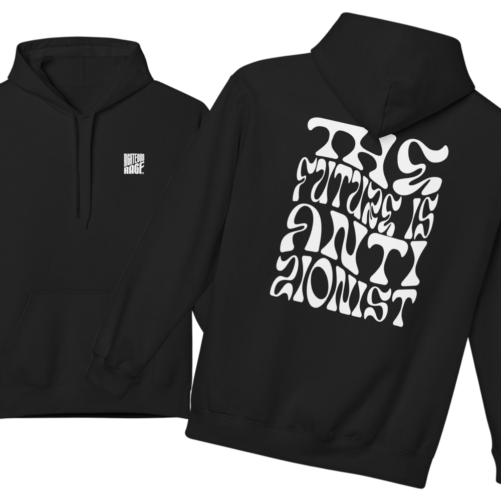 The Future is Anti-Zionist Hoodie