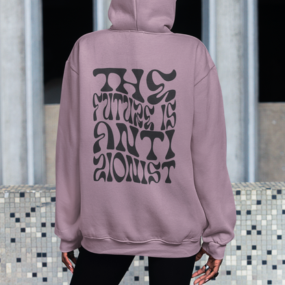 The Future is Anti-Zionist Hoodie
