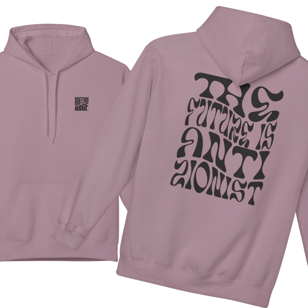 The Future is Anti-Zionist Hoodie