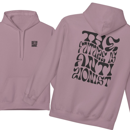 The Future is Anti-Zionist Hoodie